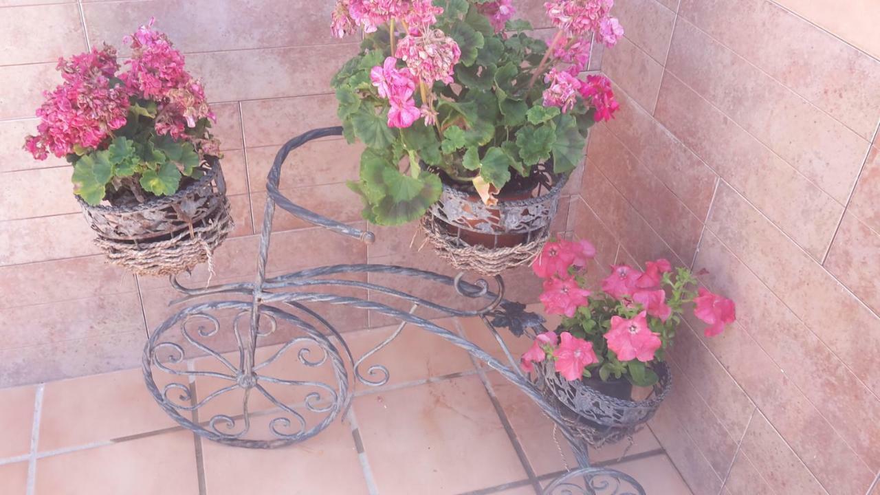 Ferienwohnung Bravo 24 Fuengirola Exterior foto